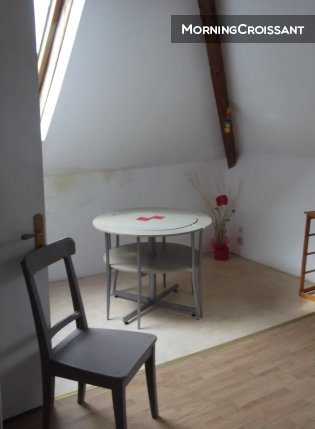 Studio meublé Jardin des plantes 