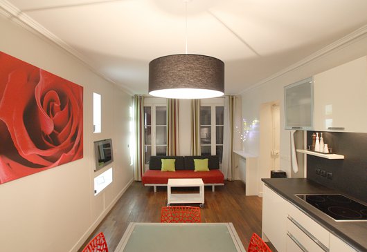 Appt. 1 chambre dans le Marais