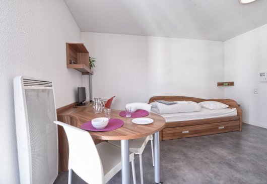 Studio idéal Lyon Berthelot