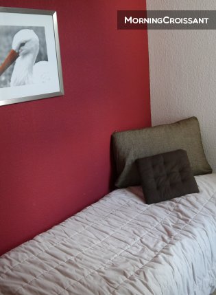 Exceptionnel T1 au coeur de Colmar