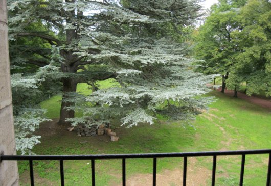 Chambre Le Cèdre, à Ecully