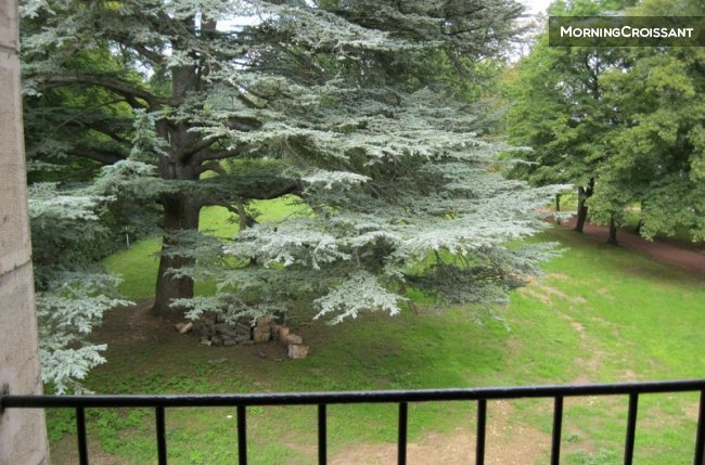 Chambre Le Cèdre, à Ecully