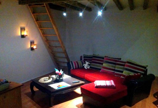 Appartement T1 typique annécien 