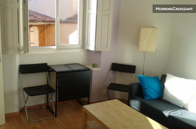 Jolie T2 calme à 2 pas du capitole