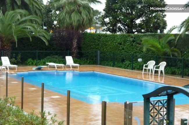 Trés beau studio en bord de mer 