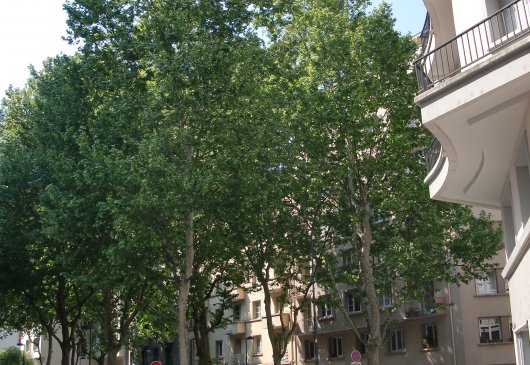 Chambre quartier Aigle à Grenoble