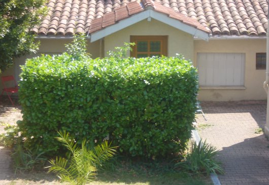 Maison meublée dans jardin