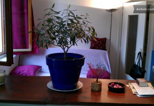 30 m2 lumineux et calme hypercentre