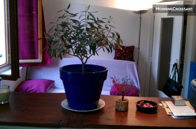 30 m2 lumineux et calme hypercentre