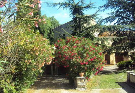 Appartement 5 à 7 personnes 