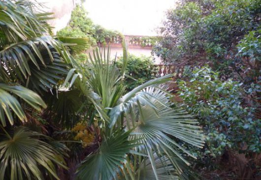 Havre de paix 135m2 coeur Perpignan