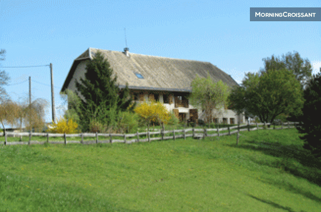 Gîte tout Confort en pleine nature