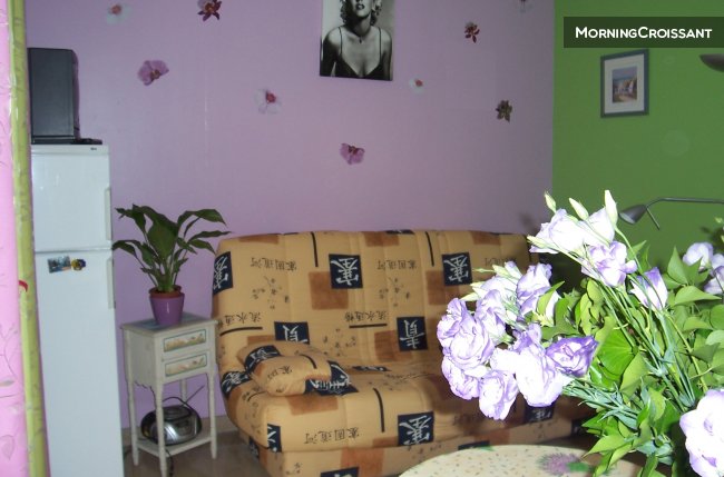 Joli studio avec grande terrasse