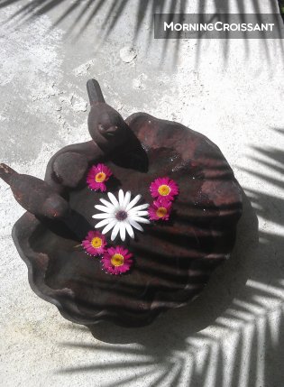 Charme et jardin-jacuzzi à 2mn mer