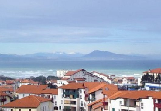 Appartement deux pièces chaleureux