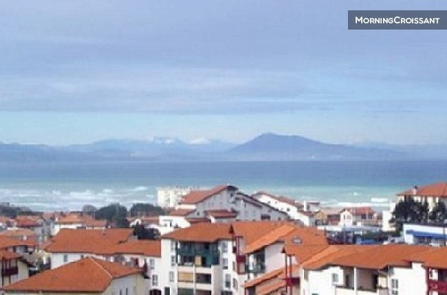 Appartement deux pièces chaleureux