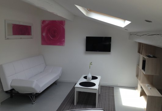 T1 canal du midi proche Capitole