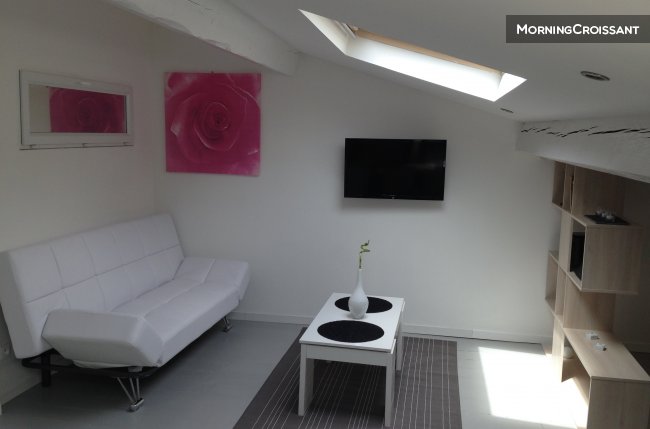 T1 canal du midi proche Capitole