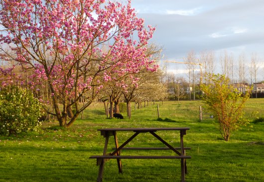 gite parking wifi à PAU