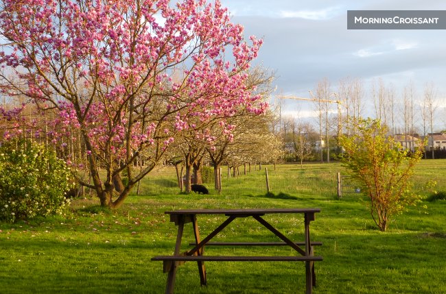 gite parking wifi à PAU
