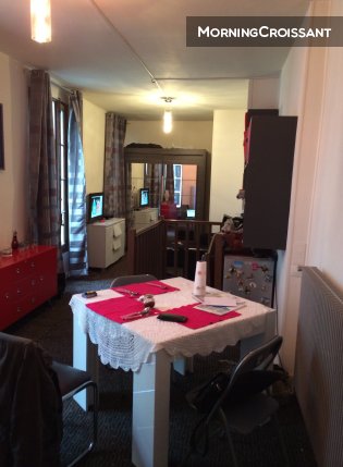 Duplex au cœur de Paris (Louvre)