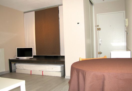 Charmant meublé 31m2 - Lyon 8ème