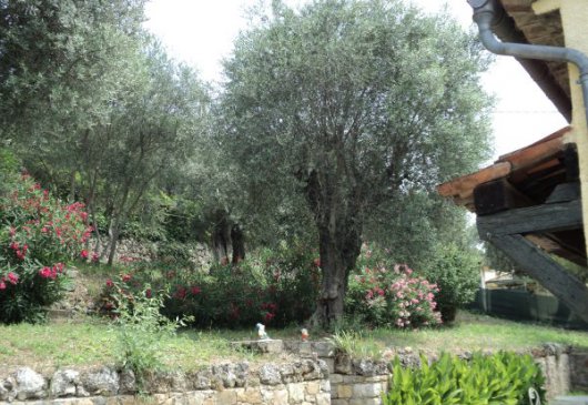 Location vacances var