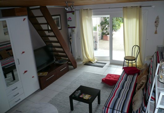 T2 en lisière de forêt