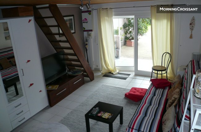 T2 en lisière de forêt