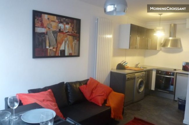 Vue magnifique sur Toulouse