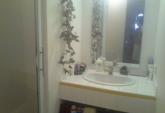 Grand T1 lumineux et calme