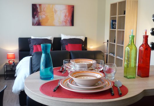 Superbe meublé 4 **** hyper centre 