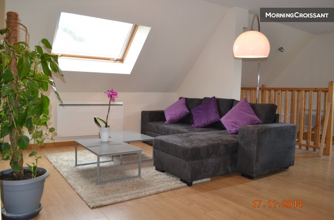  T3 tourisme à 10 mn de Strasbourg