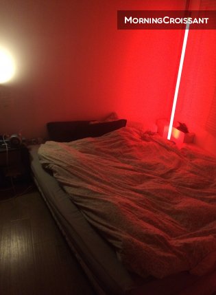 T3 Fête des lumières/TERREAUX