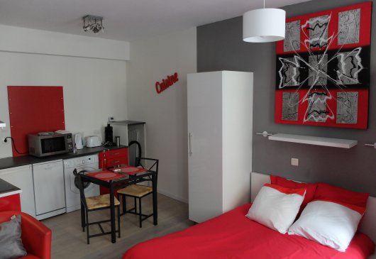 Appart.Espalungue1, Château de Pau