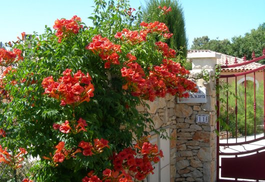 Chambre privée chez l'habitant