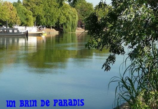 Gîte adapté handicapé