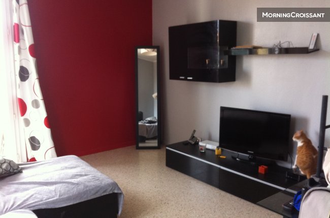 Appart.près de la plage et feria