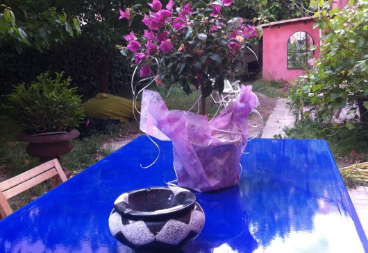 BnB avec jardin Vieux Port, Panier