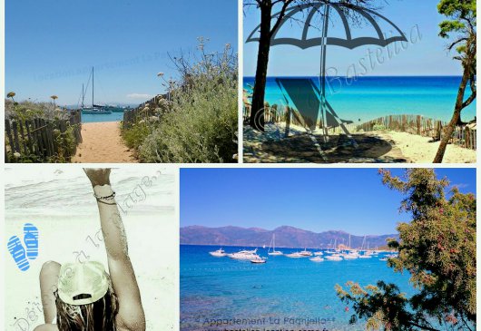 Appartement 2* 'La Paghjella'