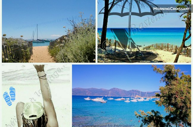 Appartement 2* 'La Paghjella'