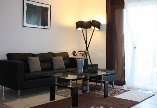 T3 meublé Merville 10 min Blagnac