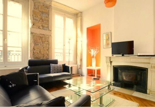 Magnifique meublé au coeur de Lyon