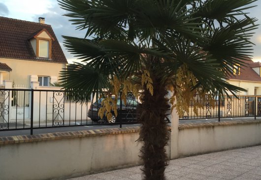 Pat&Co Studio proche de Disneyland