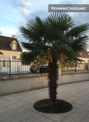 Pat&Co Studio proche de Disneyland