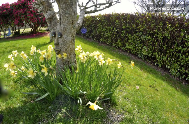 10km > Brest calme Chambre avec vue