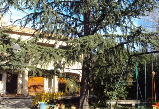 Appartement 3 personnes