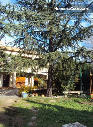 Appartement 3 personnes