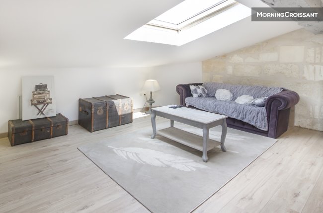 Joli apmt mansardé coeur de ville