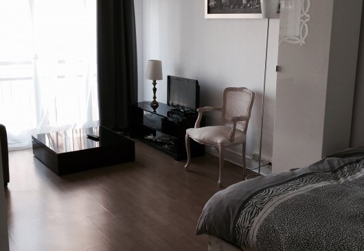 Très beau studio, vue tour Eiffel